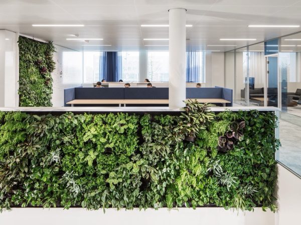 053 LR 04 Food for growth Etten Leur office workplace i29